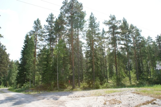 Uudet tontit