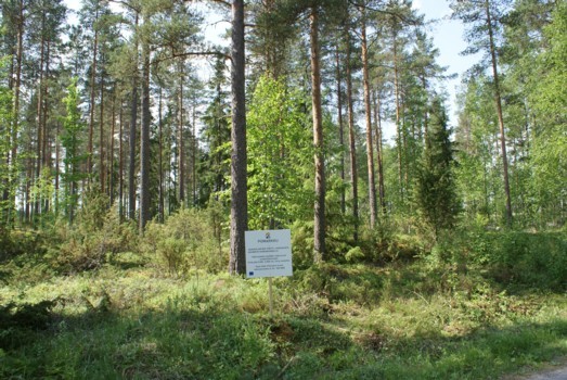 Uudet tontit